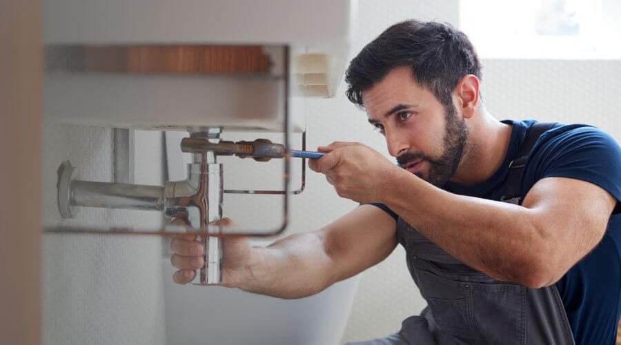 Trap Repair/Replacement in Brandy Station, VA